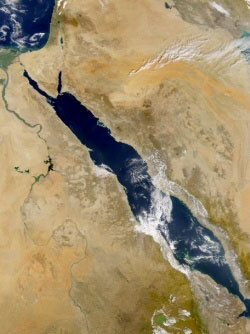 Red Sea (NASA satellite picture)